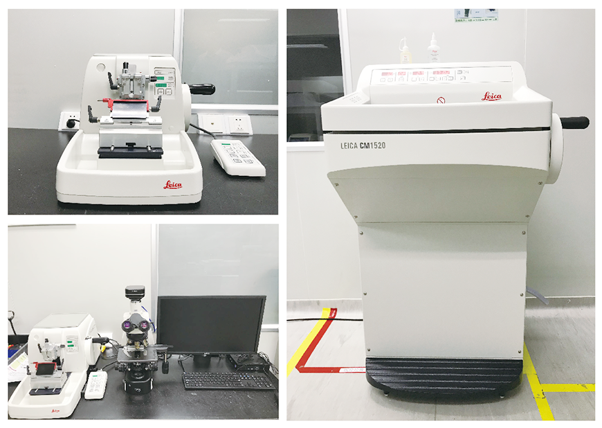 1585993481481107.png 微信圖片_202004041725552.png