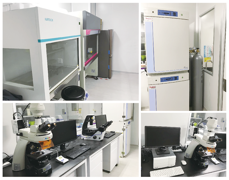 1585993495553247.png 微信圖片_202004041725551.png