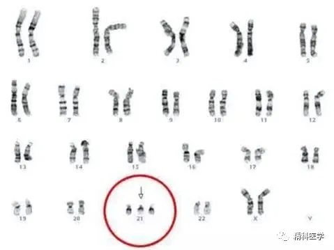 1586404867231707.png image.png