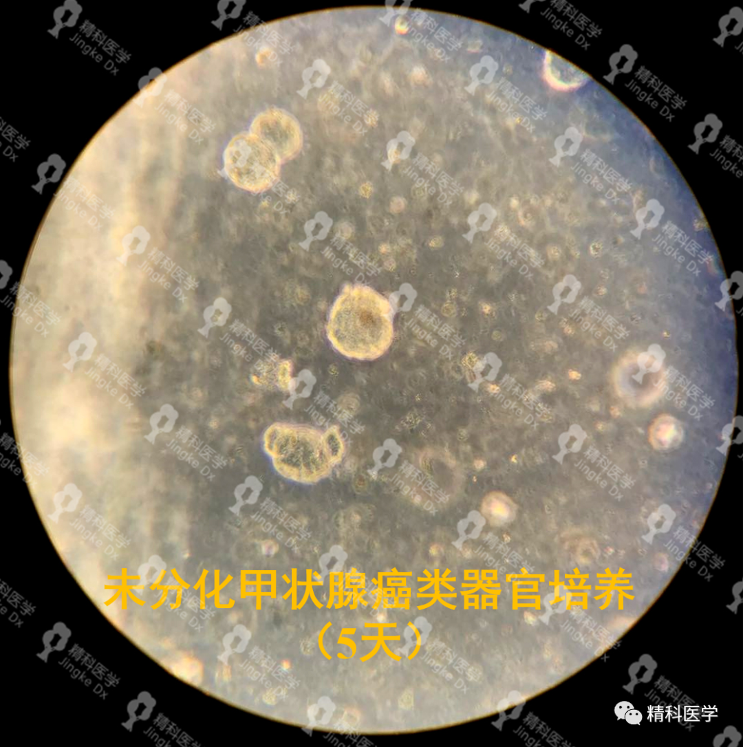 1591869177488398.png image.png