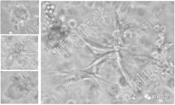 1591869205424123.png image.png