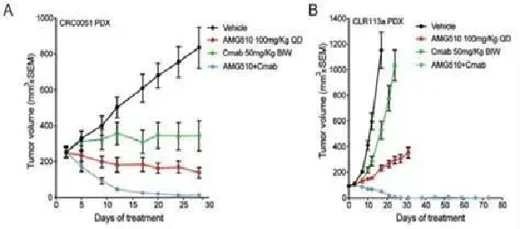 1595906965725868.png image.png