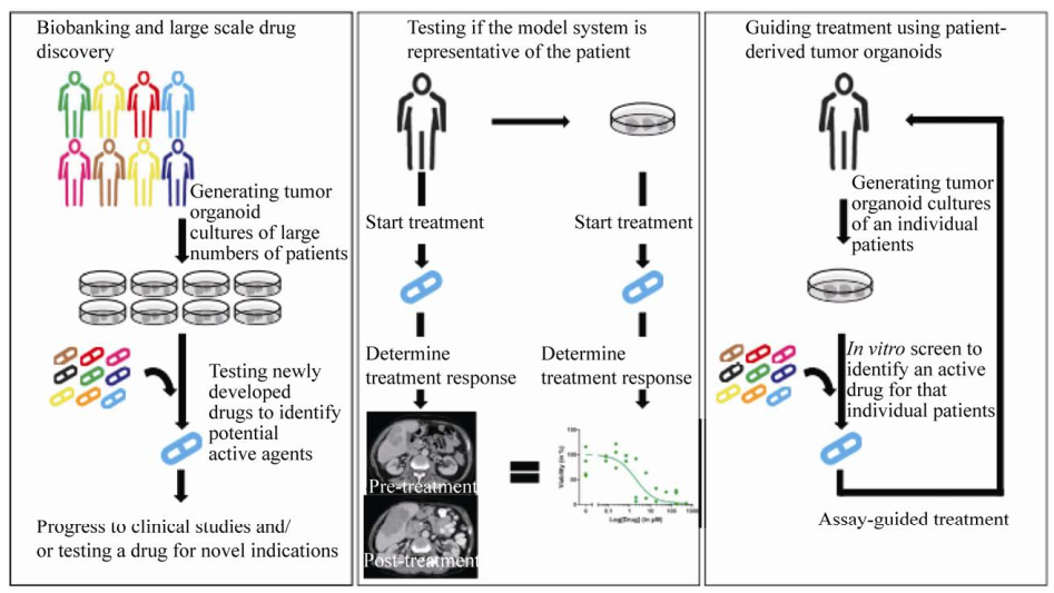 1633679843119571.png image.png