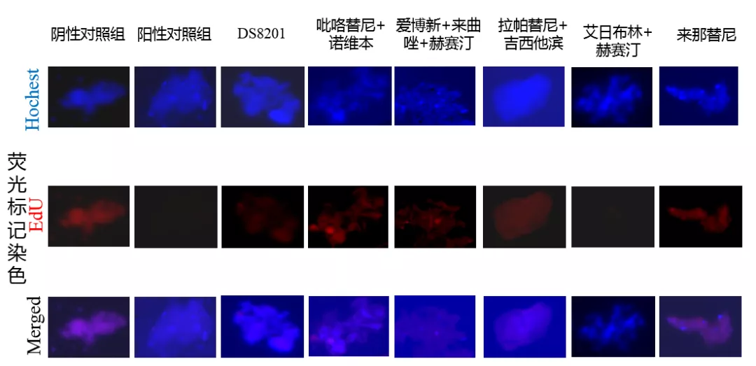 1633679916757056.png image.png