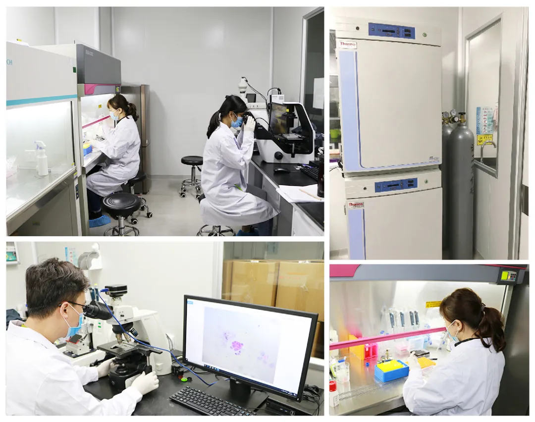 1633680228913549.png image.png