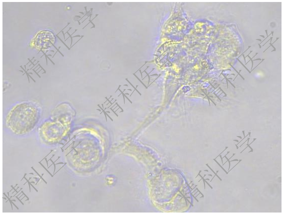 1639020154192275.png image.png