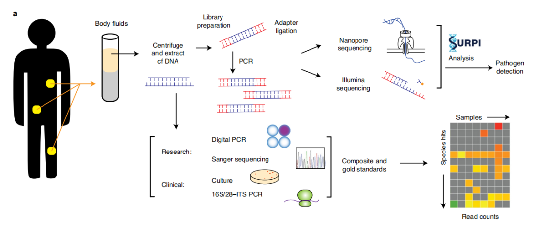 1639021104426463.png image.png