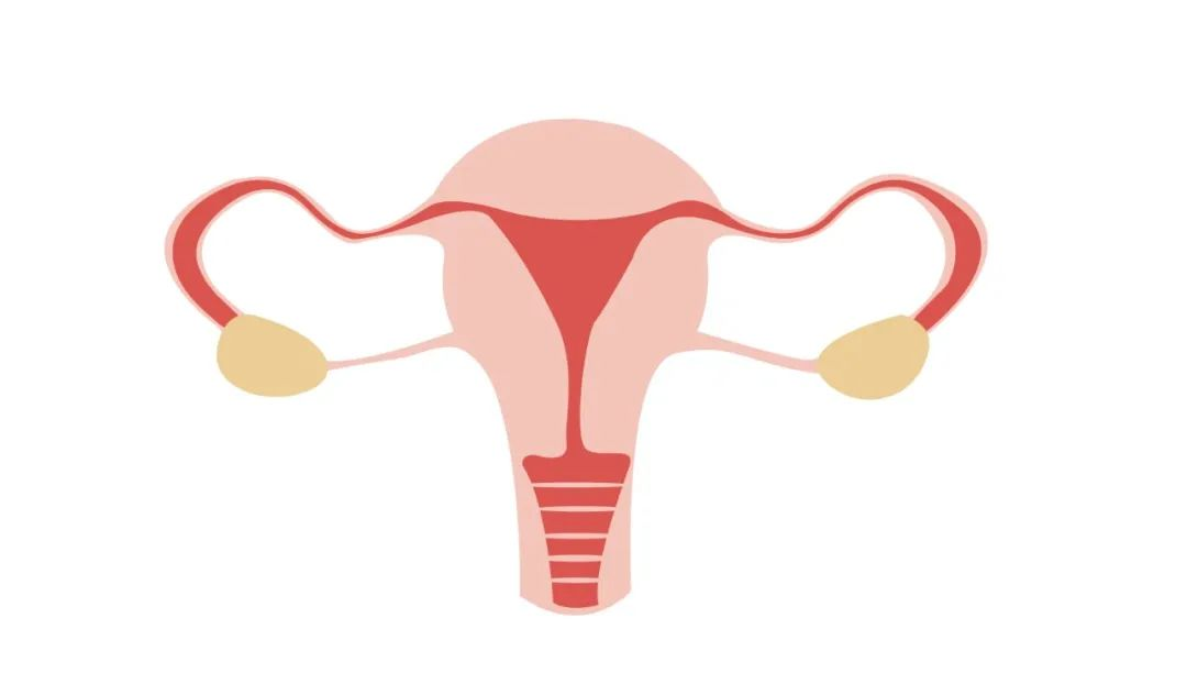 1656648169684801.png image.png