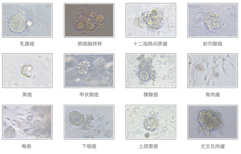 1656648283915425.png image.png