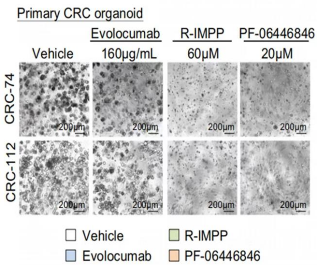 1660272209742298.png image.png