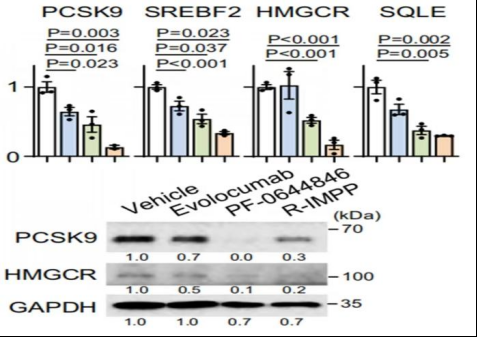 1660272226363537.png image.png