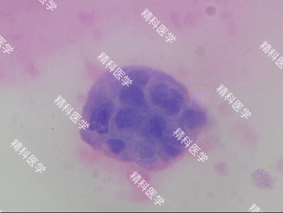 1660272289726024.png image.png