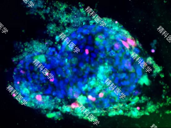 1660272324117673.png image.png