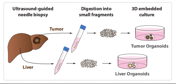 1663588024459568.png image.png