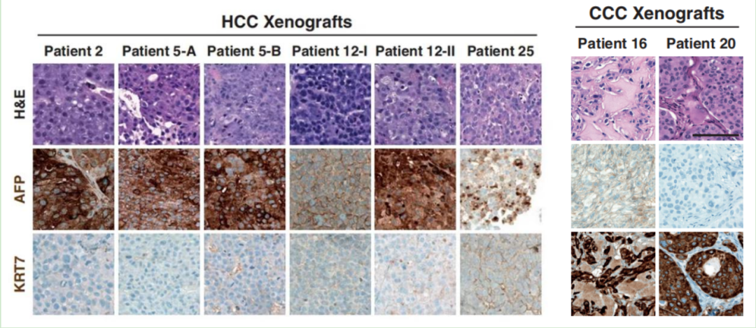 1663588068699395.png image.png