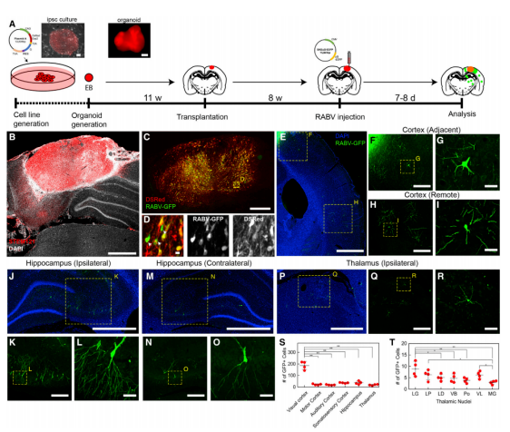 1683795861142862.png image.png