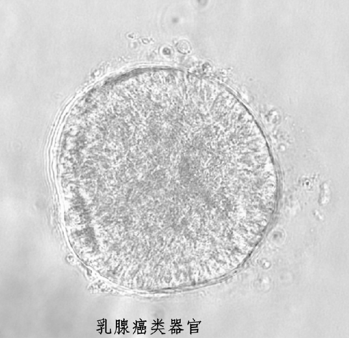 1684121682223078.png image.png