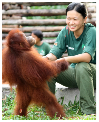 1684130795178115.png image.png