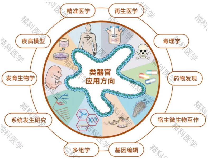 1684140503367008.png image.png